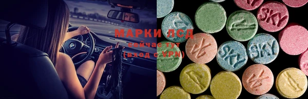 гидра Надым