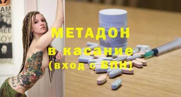 сатива Аркадак