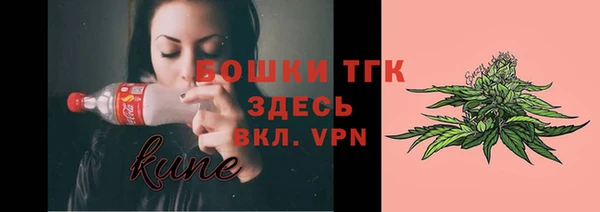 сатива Аркадак